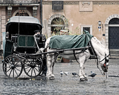 Taking A Break in the Rain*Credit*