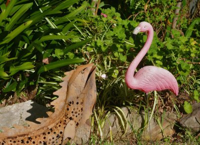 Garden Encounter*Credit*