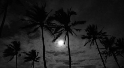 Moonlight at the Beach