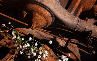 Left to Rust*Merit*