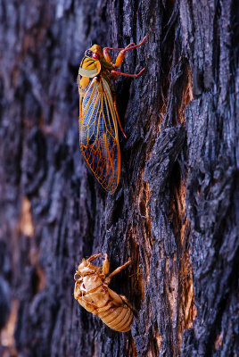 1] A New Life Starting