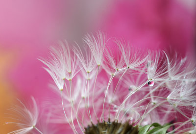10] In the Little Wind