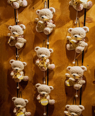 Teddy Band