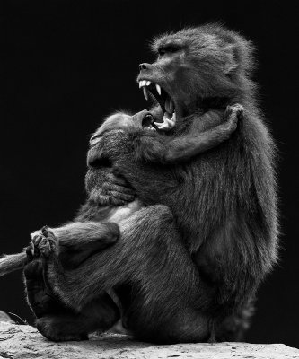 Big Hug
