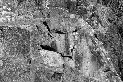 Face in Rock