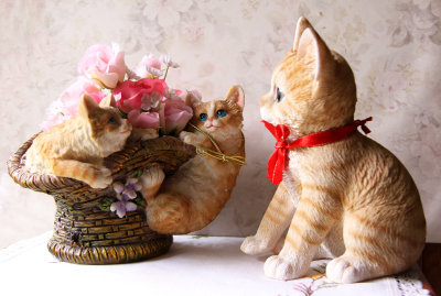 Kittens Having Fun
