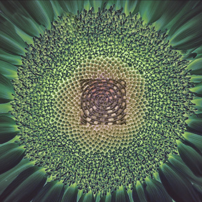 Spirals