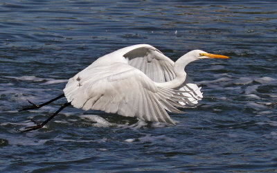 Wrap Around Wings