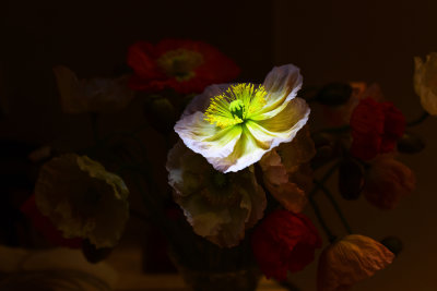 A Tribute to Rembrandt*Credit*