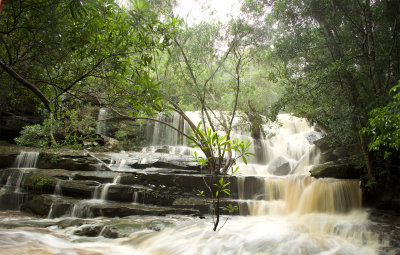 Somersby Falls, Lower*Credit*