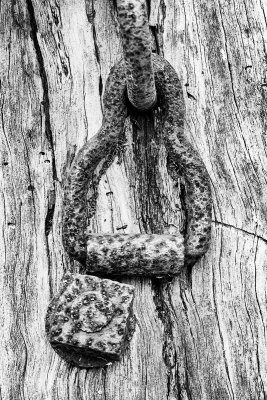 Rusted