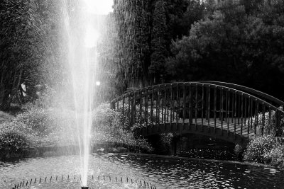 Spouting Water Drops