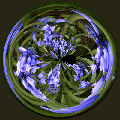 Blue Bells Mirrorball