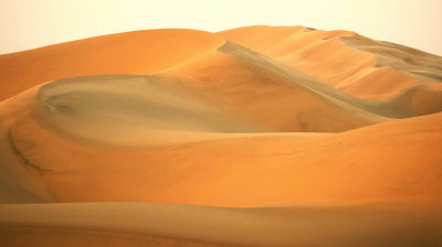 Tinted Dunes*Merit*