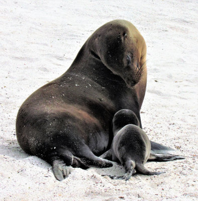 Loving Mother