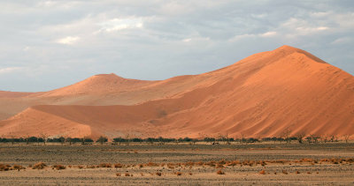 Namib Dunescape*Merit*