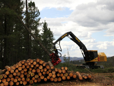 Picking Up Logs*Credit*