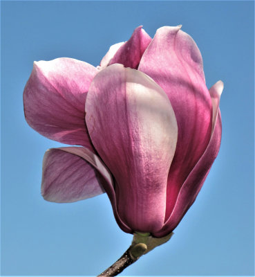 September 2022 'B' Grade Colour