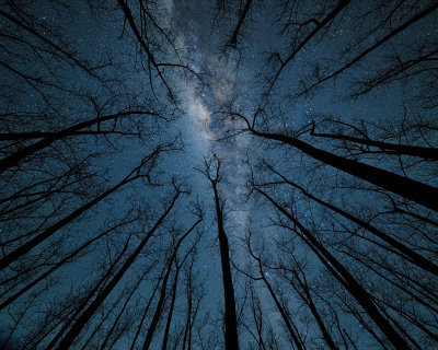 Milky Way in Poplar Forest*Credit*