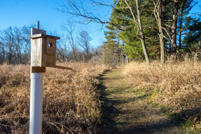 Blue Bird House