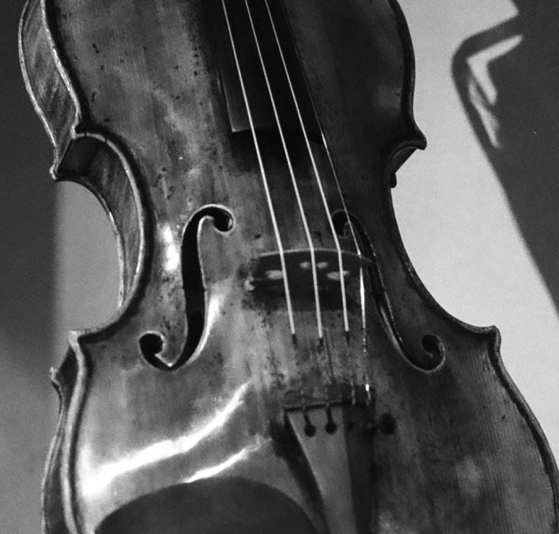 violin_2008_8.jpg
