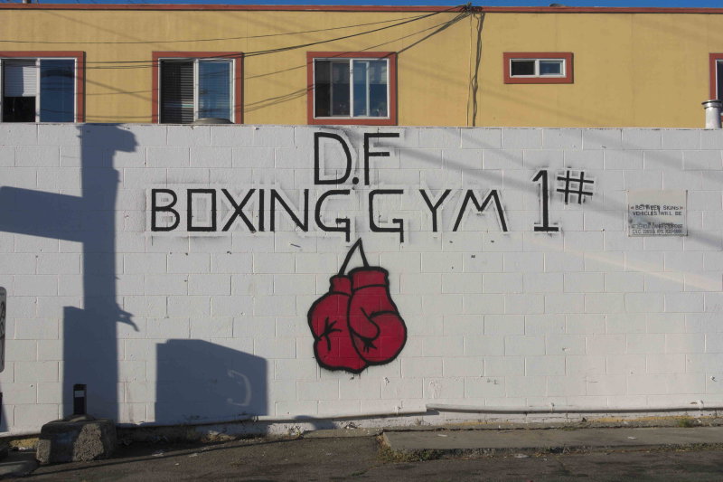 df_boxing_gym_rt_0979.jpg