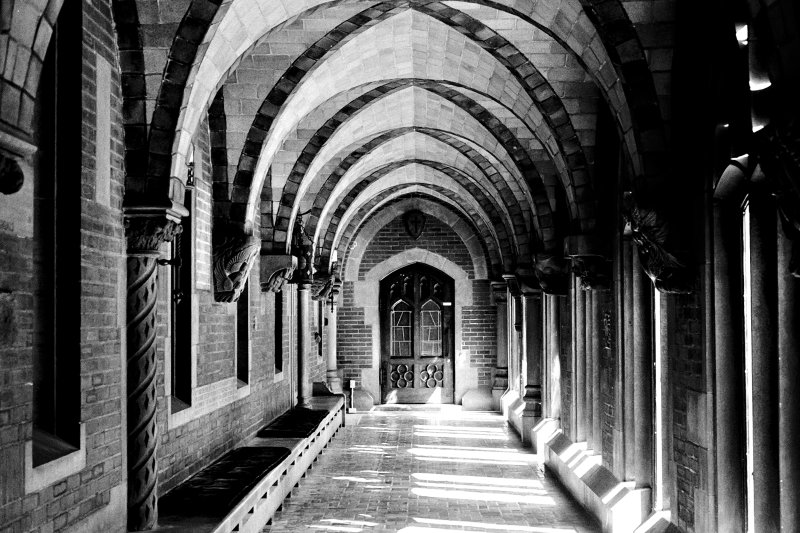 university_of_chicago_rockefeller_chapel_2019_3_2014_8-1.jpg