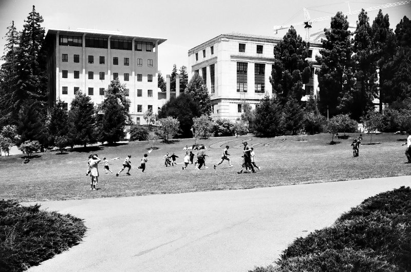 berkeley_memorial_glade_2007_10-4.jpg
