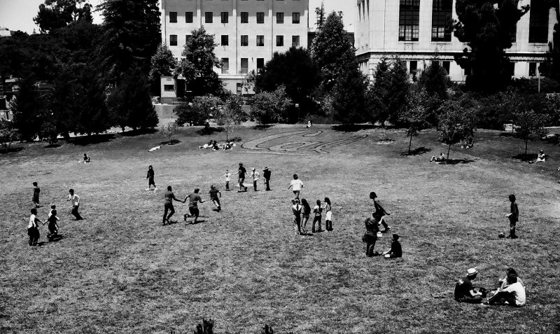 berkeley_memorial_glade_2007_10.jpg