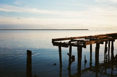 ferry_point_2018-2.jpg