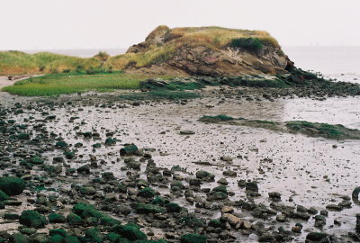 pinole_shores_2009_5- 2A.jpg