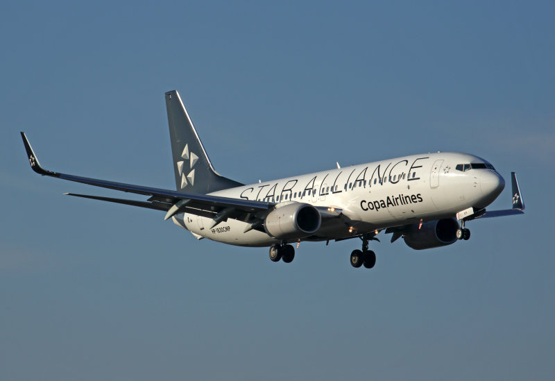 COPA AIRLINES BOEING 737 800 SCL RF 5K5A2139.jpg