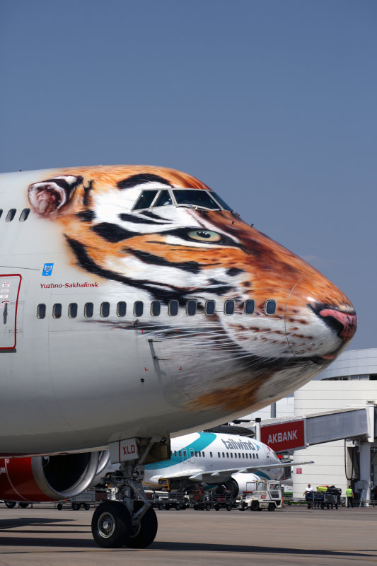 ROSSIYA_BOEING_747_400_AYT_RF_5K5A1816.jpg