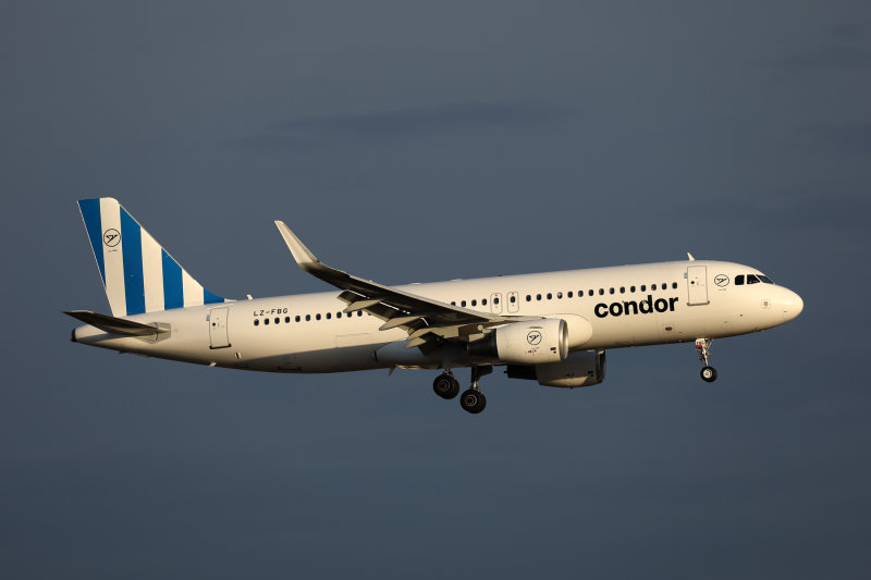 CONDOR AIRBUS A320 PMI RF 002A3611.jpg