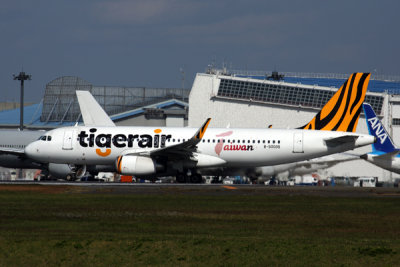 TIGERAIR_TAIWAN_AIRBUS_A320_NRT_RF_5K5A0201.jpg