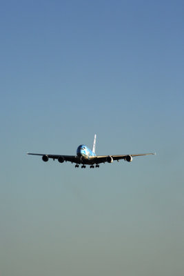 ANA_AIRBUS_A380_NRT_RF_5K5A1437.jpg