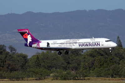 HAWAIIAN