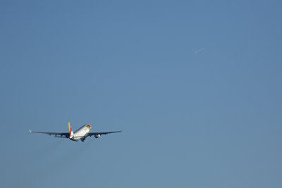 TAP AIR PORTUGAL AIRBUS A330 200 LIS RF 5K5A2902.jpg
