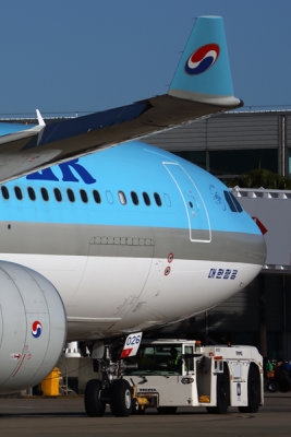 KOREAN AIR AIRBUS A330 300 BNE RF 5K5A1894.jpg