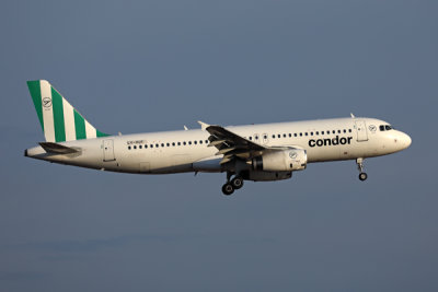 CONDOR AIRBUS A320 PMI RF 002A3617.jpg