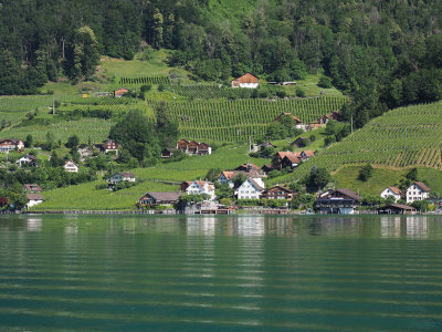 Walensee