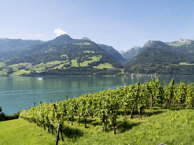 Walensee