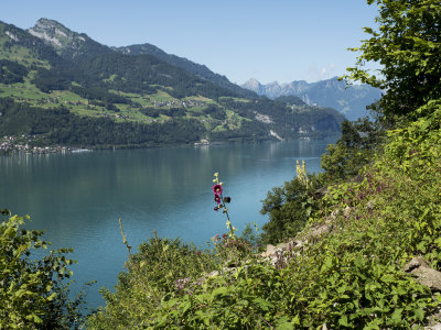 Walensee