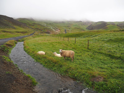 Reykjadalur