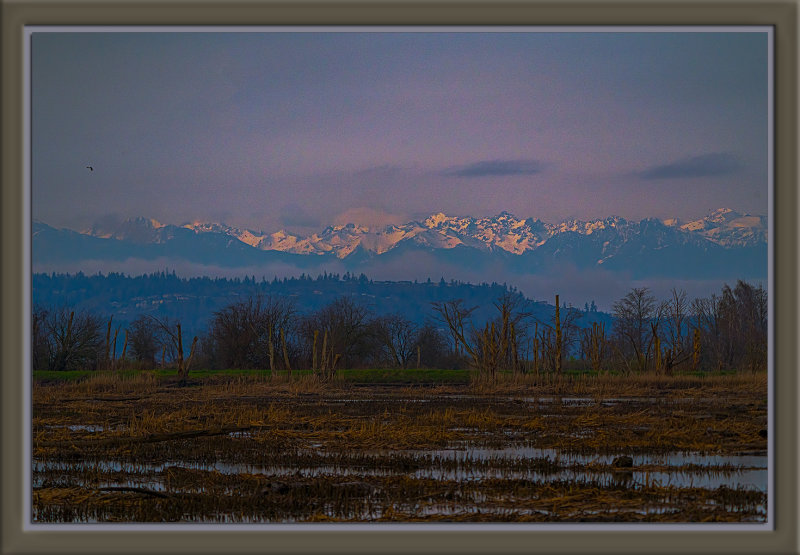 _DSC0914-2-22.jpg