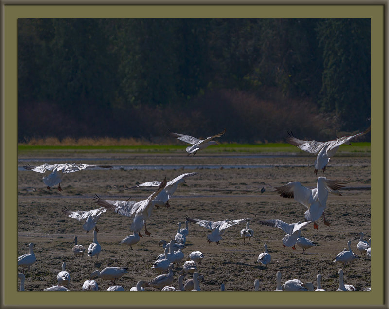 _DSC1066-En-2-22.jpg