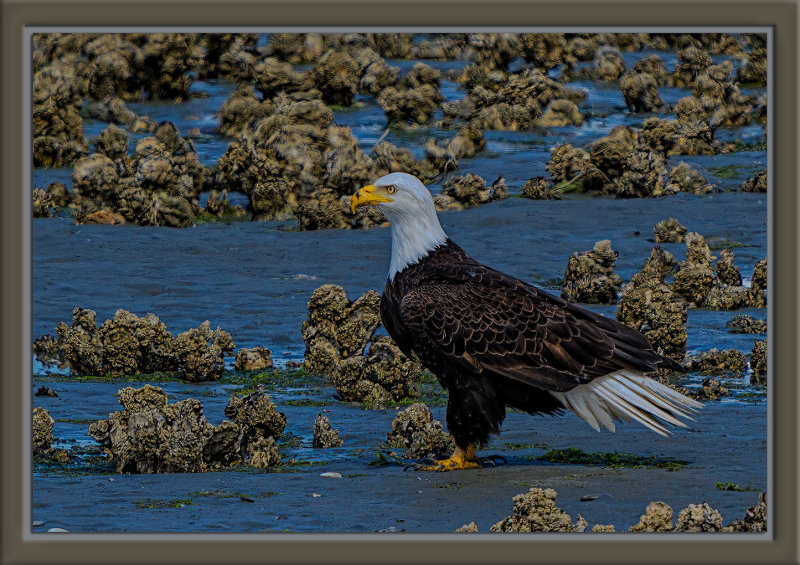 _DSC3542-En-2-22.jpg