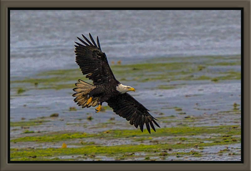 _DSC2138-En-2-22.jpg