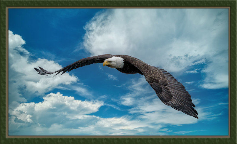 _DSC1694-En-2-22-sr.jpg