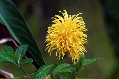 IMG_0677_DxO - Copy.jpg
